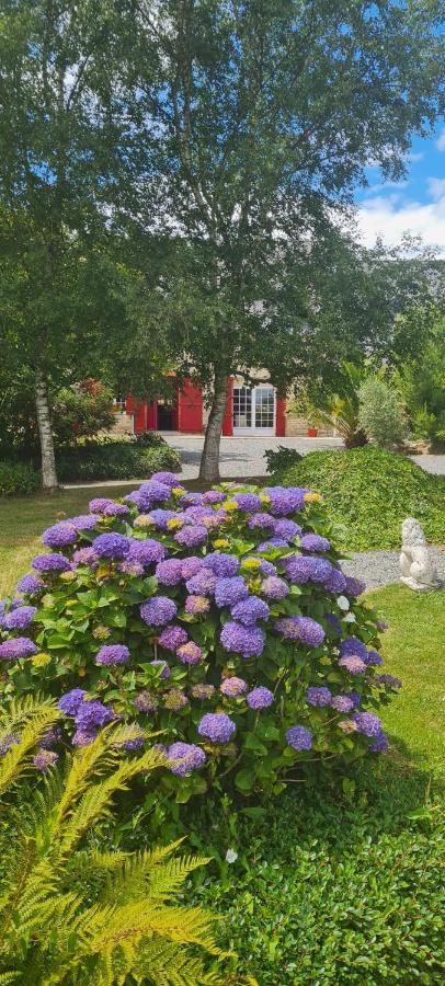 La Pichonniere Bed and Breakfast Isigny-le-Buat Kamer foto